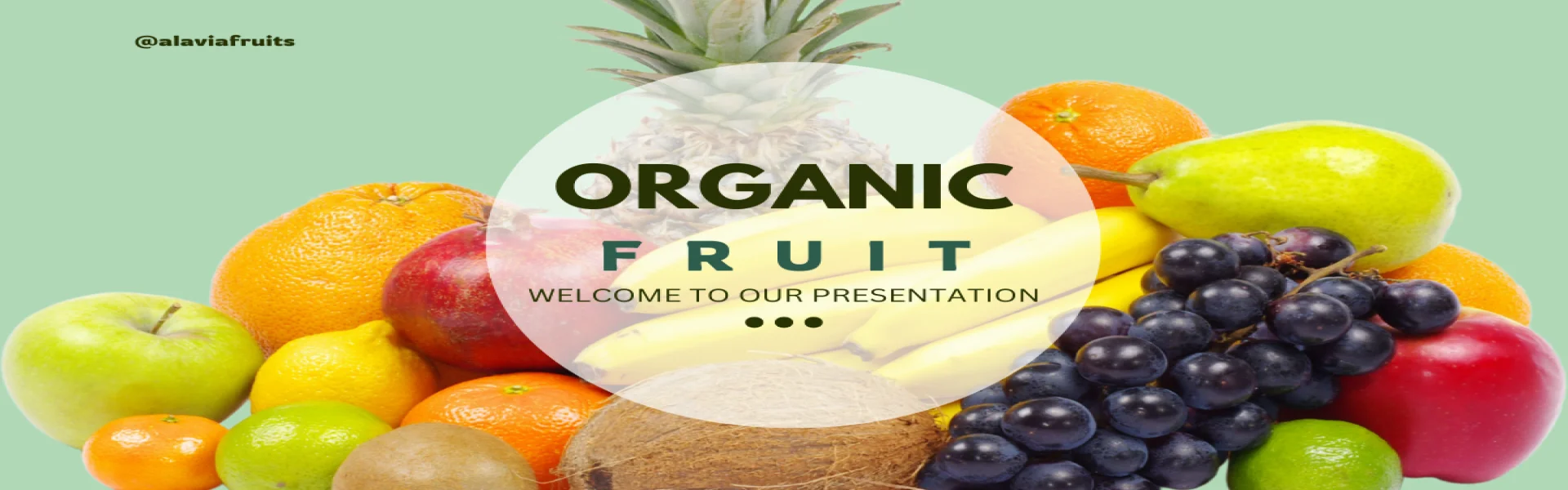 Giới thiệu về chúng tôi